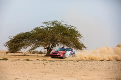 Qatar International Rally 2025